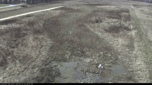 Cell 1_24-03-25_14-08-47-52