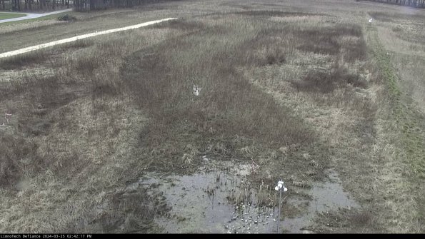 Cell 1_24-03-25_14-42-17-51