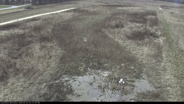 Cell 1_24-03-25_15-15-45-50