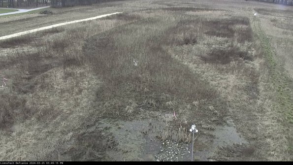 Cell 1_24-03-25_15-49-15-52