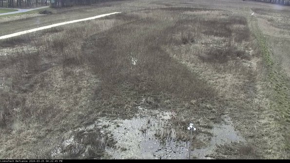 Cell 1_24-03-25_16-22-45-51