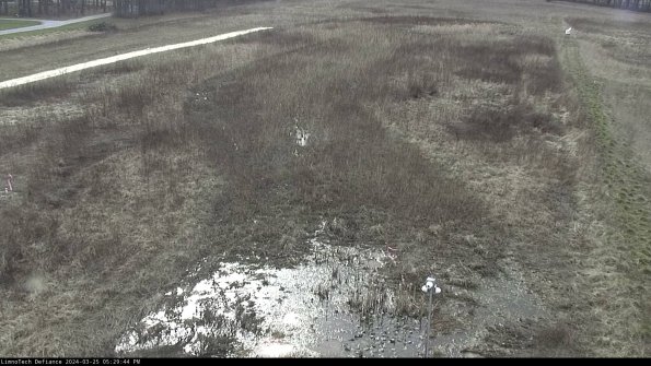 Cell 1_24-03-25_17-29-44-51