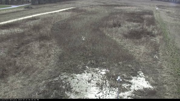 Cell 1_24-03-25_18-36-42-52