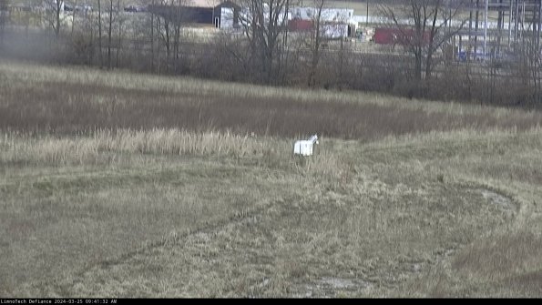 Cell 2 to 3_24-03-25_09-41-32-72