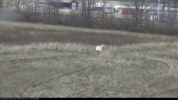 Cell 2 to 3_24-03-25_11-55-29-65