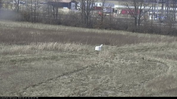 Cell 2 to 3_24-03-25_14-42-57-59