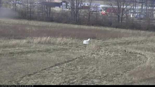 Cell 2 to 3_24-03-25_16-23-25-65