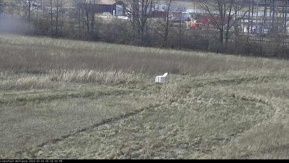 Cell 2 to 3_24-03-25_16-56-54-73