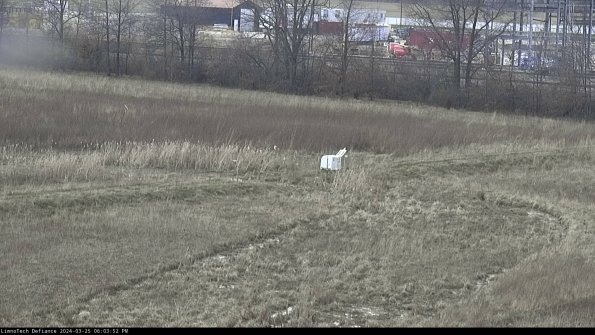 Cell 2 to 3_24-03-25_18-03-52-67