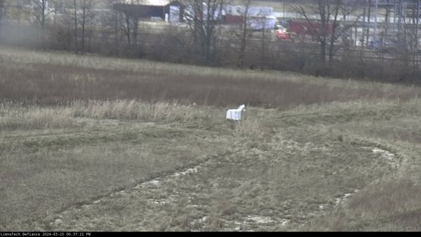 Cell 2 to 3_24-03-25_18-37-22-62