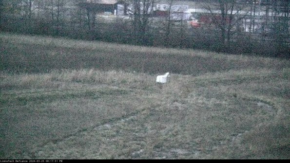 Cell 2 to 3_24-03-25_20-17-51-65