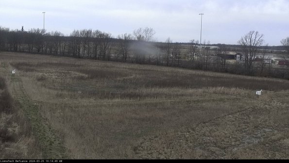 Cell 2_24-03-25_10-14-49-56