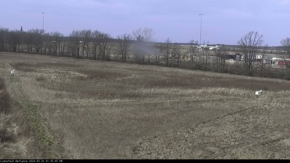 Cell 2_24-03-25_13-35-45-56