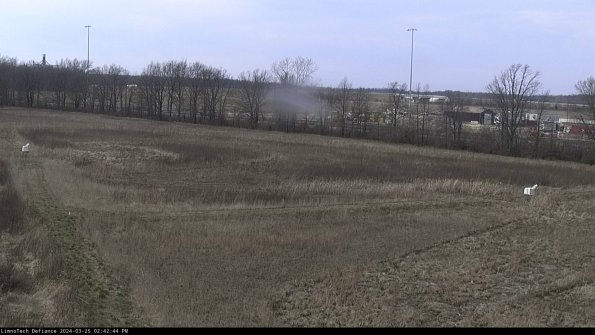 Cell 2_24-03-25_14-42-44-51