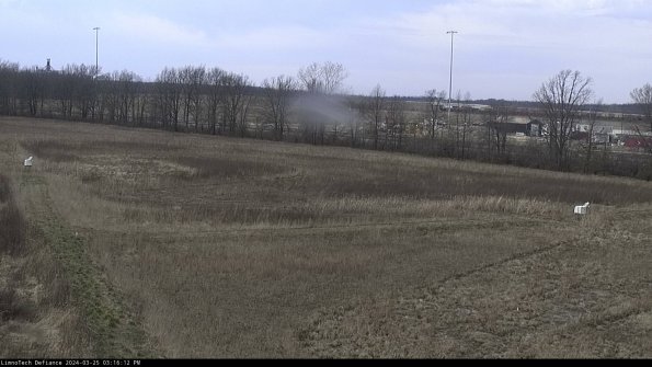 Cell 2_24-03-25_15-16-12-59