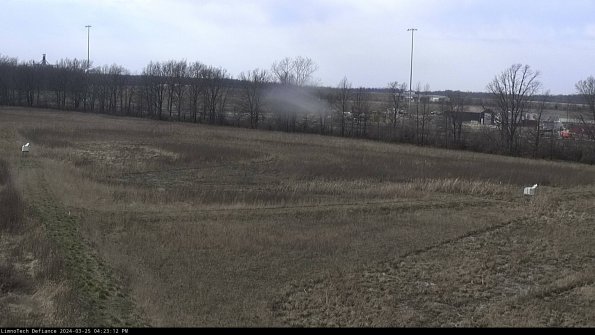 Cell 2_24-03-25_16-23-12-53