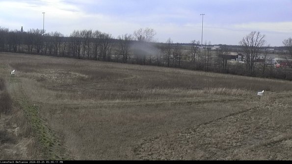 Cell 2_24-03-25_17-30-11-50