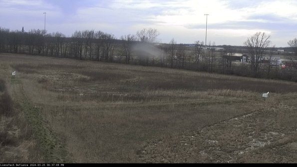 Cell 2_24-03-25_18-37-09-54