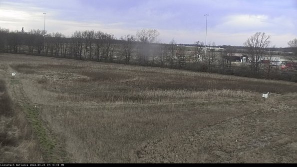 Cell 2_24-03-25_19-10-39-56