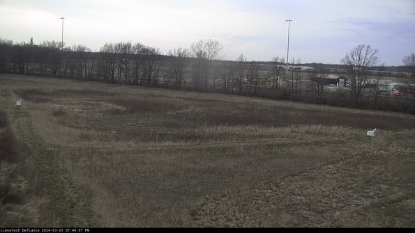 Cell 2_24-03-25_19-44-07-58