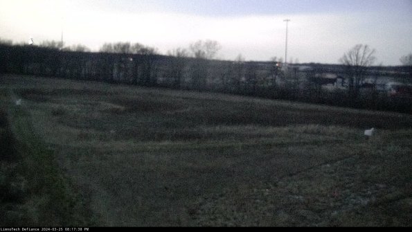 Cell 2_24-03-25_20-17-38-57