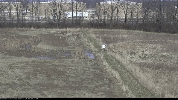 Cell 3 to 4_24-03-25_12-29-27-53