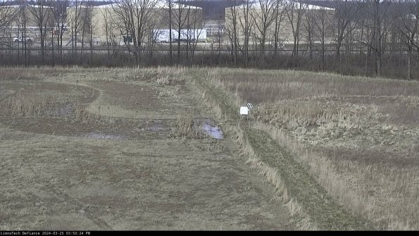 Cell 3 to 4_24-03-25_15-50-24-49