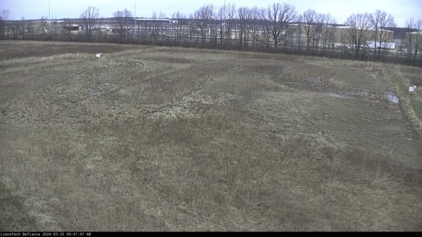 Cell 3_24-03-25_09-41-47-50