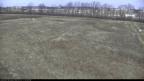 Cell 3_24-03-25_11-55-44-50