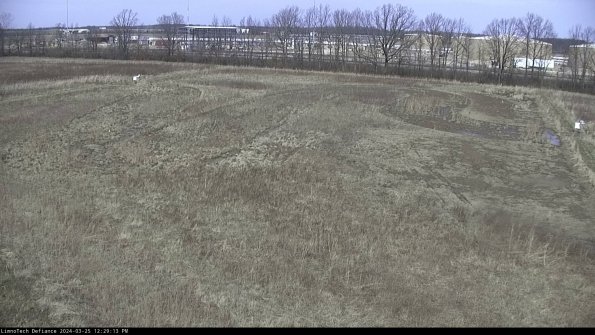 Cell 3_24-03-25_12-29-13-52