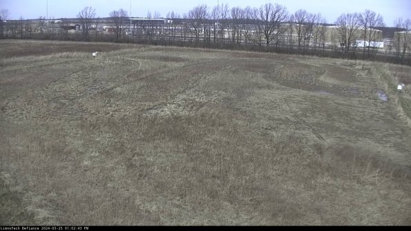 Cell 3_24-03-25_13-02-43-51