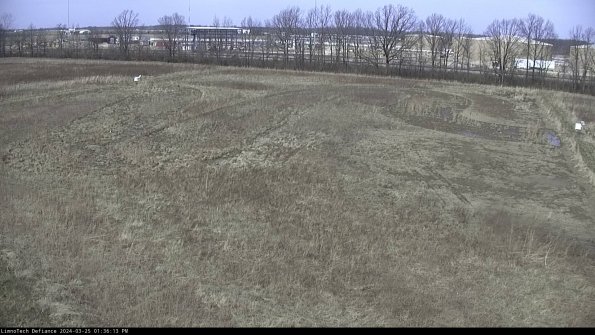 Cell 3_24-03-25_13-36-13-53