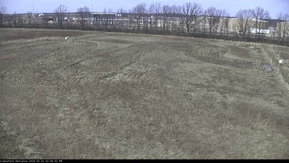 Cell 3_24-03-25_14-09-42-51