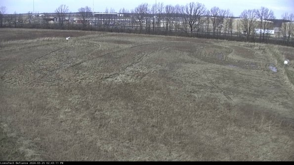 Cell 3_24-03-25_14-43-11-73