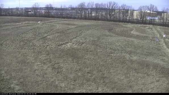 Cell 3_24-03-25_17-30-38-80