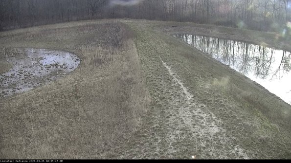 Cell 4 to Basin_24-03-25_08-35-47-50