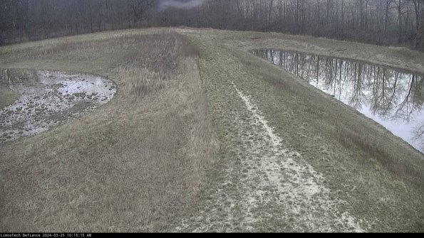 Cell 4 to Basin_24-03-25_10-16-15-51