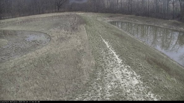 Cell 4 to Basin_24-03-25_11-56-42-53