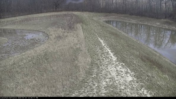 Cell 4 to Basin_24-03-25_12-30-11-51