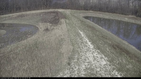 Cell 4 to Basin_24-03-25_16-58-07-51