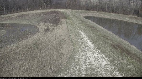 Cell 4 to Basin_24-03-25_17-31-36-52