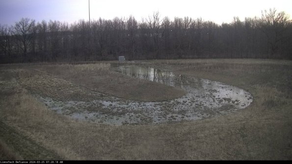 Cell 4_24-03-25_07-28-18-51