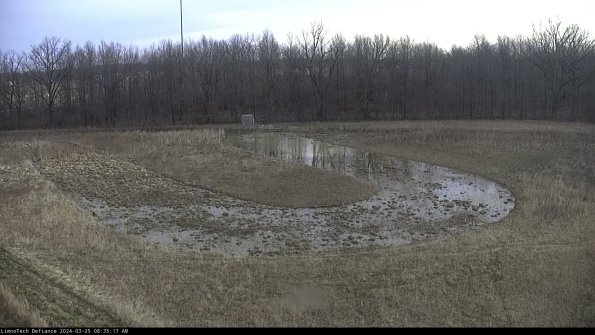 Cell 4_24-03-25_08-35-17-53