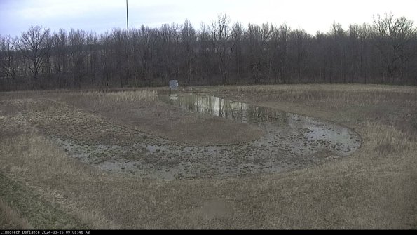 Cell 4_24-03-25_09-08-46-55