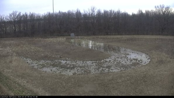 Cell 4_24-03-25_09-42-15-50