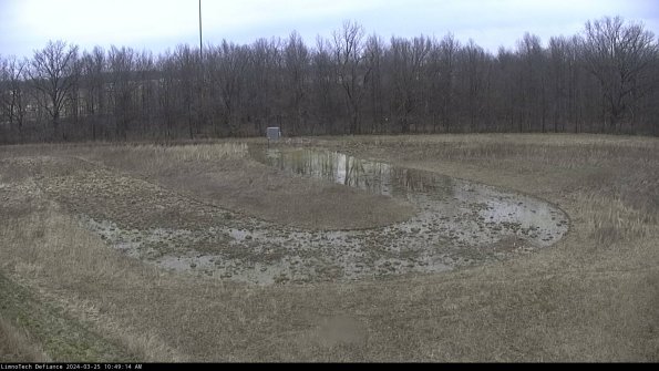 Cell 4_24-03-25_10-49-14-50