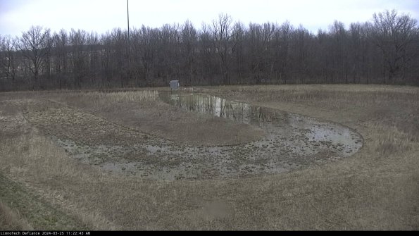 Cell 4_24-03-25_11-22-43-48