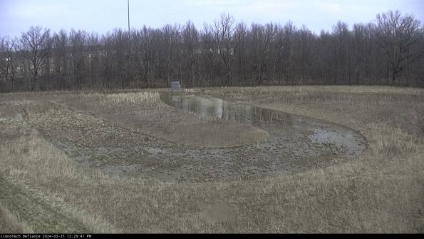 Cell 4_24-03-25_12-29-41-51