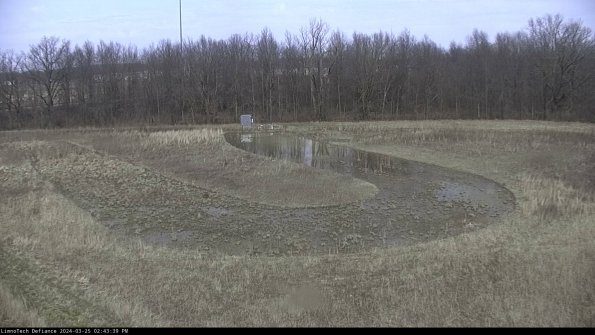 Cell 4_24-03-25_14-43-39-49