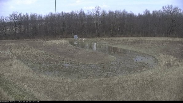 Cell 4_24-03-25_15-17-08-52